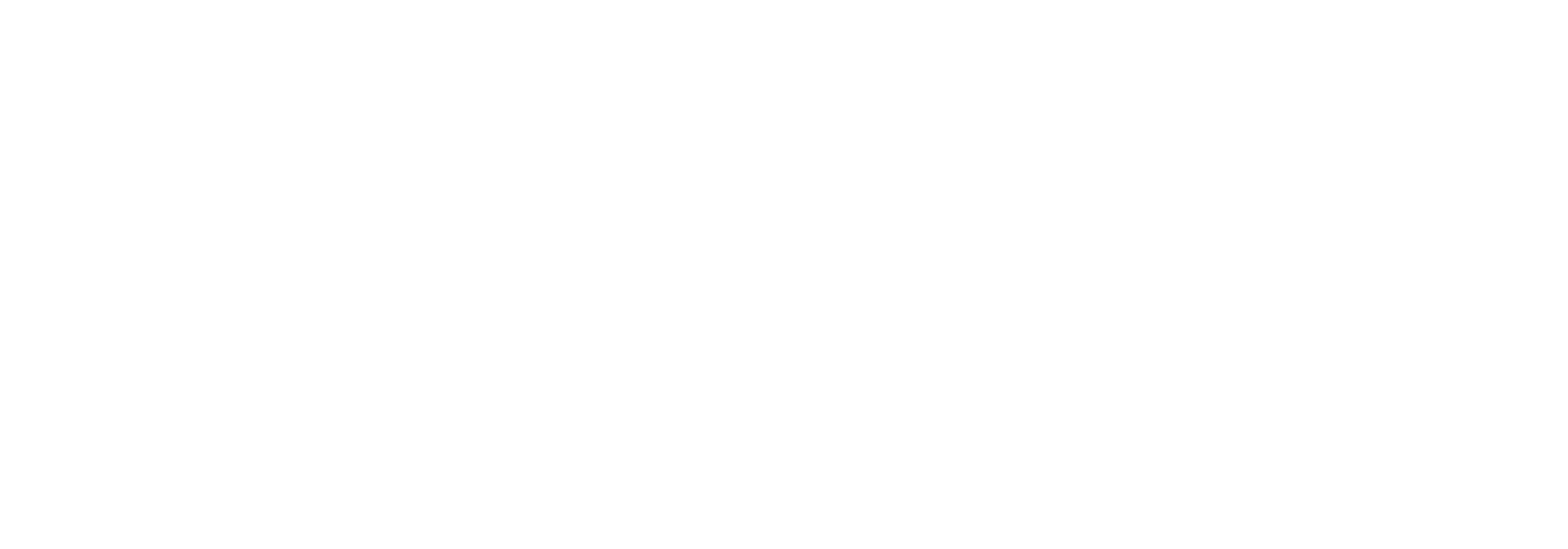 Gall Elektro AG